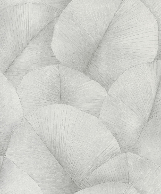 Palm Leaf Wallpaper in Soft Grey