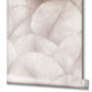 Palm Leaf Wallpaper in Pink/Rose