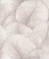 Palm Leaf Wallpaper in Pink/Rose
