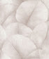 Sample Palm Leaf Wallpaper in Pink/Rose