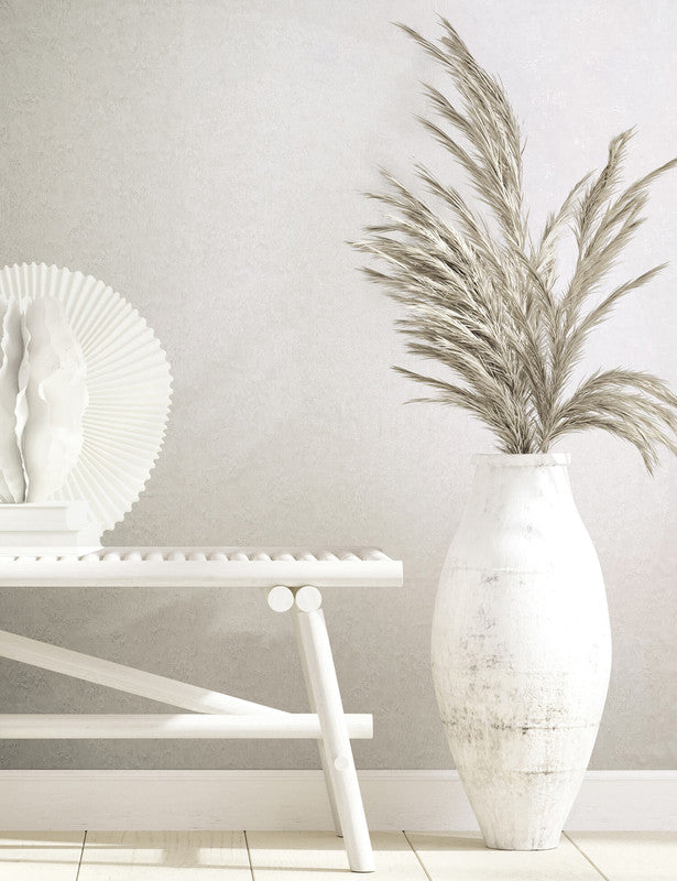 Plaster Wallpaper in Cream/White