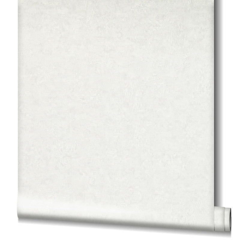 Plaster Wallpaper in Cream/White