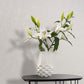 Plaster Wallpaper in Cream/White