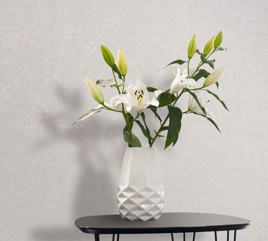 Plaster Wallpaper in Cream/White