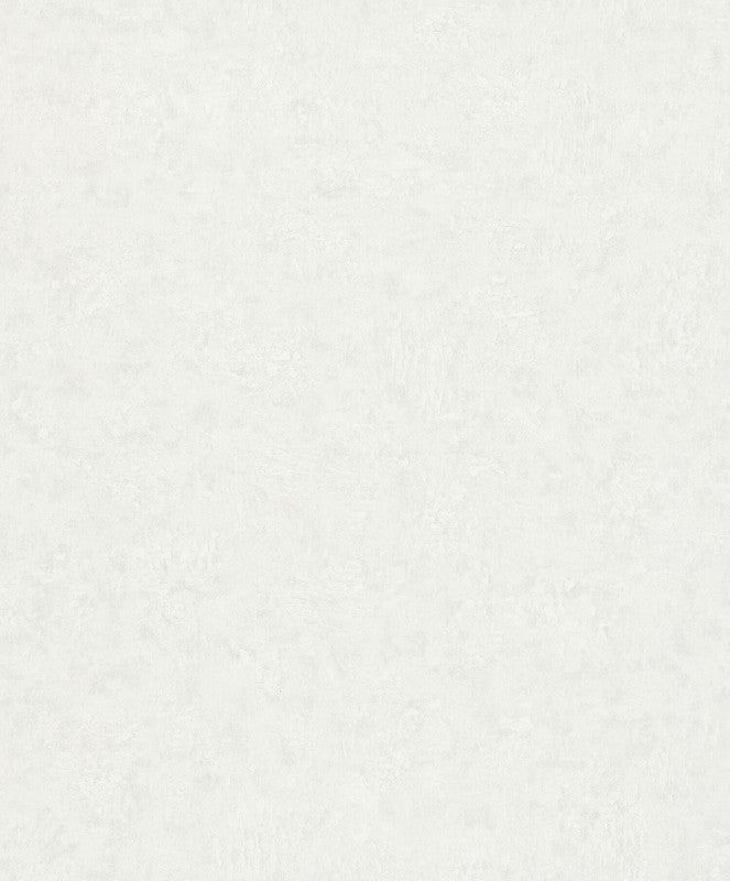 Plaster Wallpaper in Cream/White