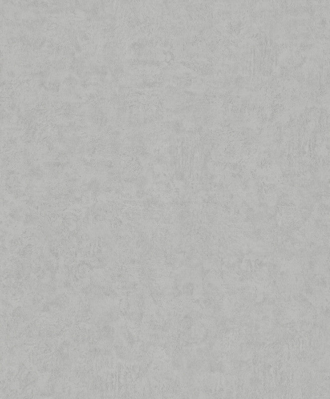 Sample Plaster Wallpaper in Grey