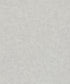 Sample Plaster Wallpaper in Light Grey