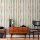 Wood Panel Stripes Wallpaper in Brown/Cream