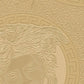 Medusa Head Silhouette Textured Wallpaper in Gold from the Versace V Collection