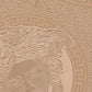 Medusa Head Silhouette Textured Wallpaper in Gold/Beige from the Versace V Collection