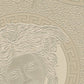 Medusa Head Silhouette Textured Wallpaper in Gold/Grey from the Versace V Collection