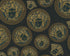 Medusa Head Textured Wallpaper in Black/Gold by Versace Home