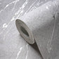 Stone Streak Wallpaper in Grey/Silver