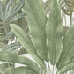 Jungle Leaf Large Floral Wallpaper in Green/White/Beige