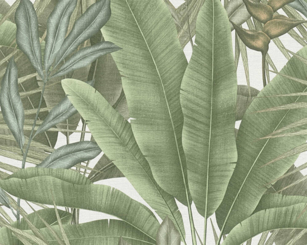Jungle Leaf Large Floral Wallpaper in Green/White/Beige