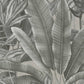 Jungle Leaf Large Floral Wallpaper in Grey/Beige/Black