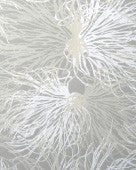 sample anemone wallpaper in wet stone design by jill malek 1