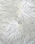 sample anemone wallpaper in wet stone design by jill malek 1