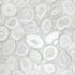 Filo Agate Wallpaper in Sea Salt