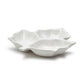 Leaf Sectional Dish