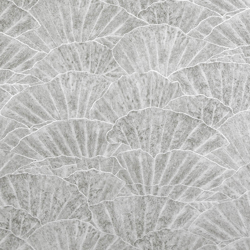 Sample Seashell Wallpaper in Cloudy Grey