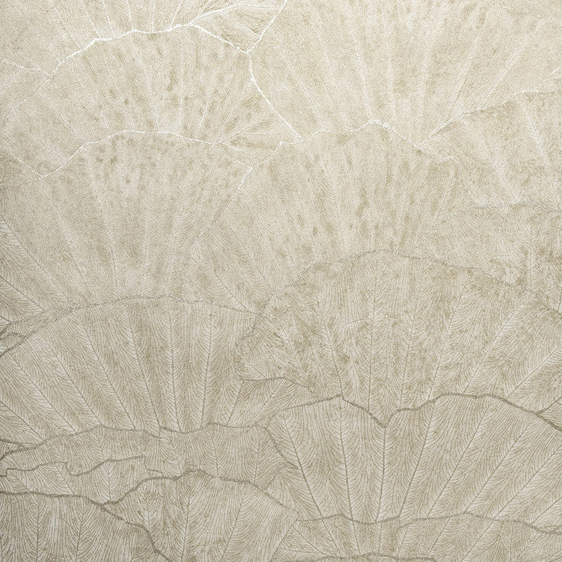 Sample Seashell Wallpaper in Beige