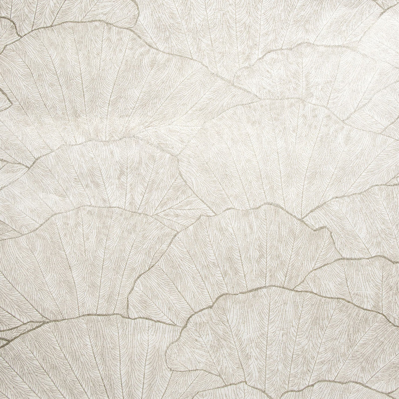 Sample Seashell Wallpaper in Old White