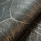 Seashell Wallpaper in Black Blue