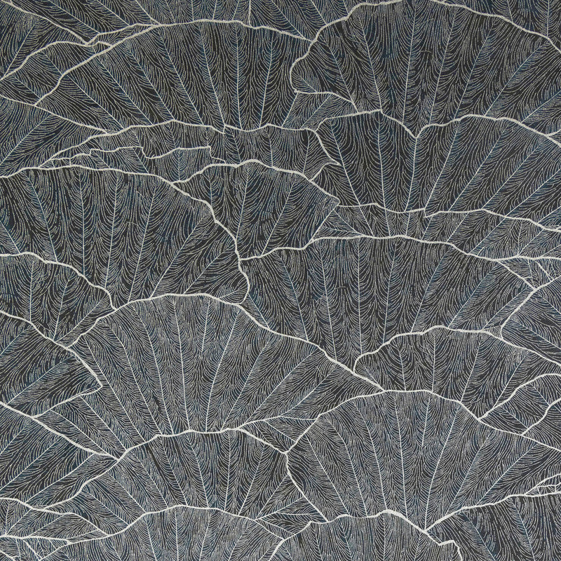 Seashell Wallpaper in Black Blue
