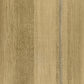 Chiffon Wallpaper in Ochre
