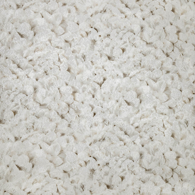 Arco Wildflower Wallpaper in Allspice