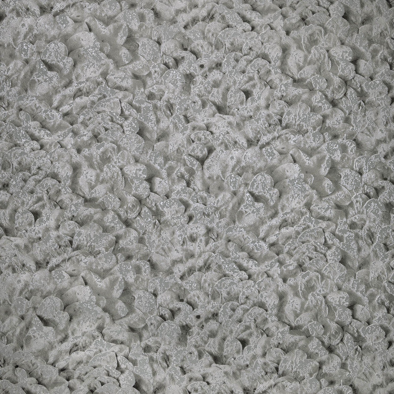 Arco Wildflower Wallpaper in Black Cumin
