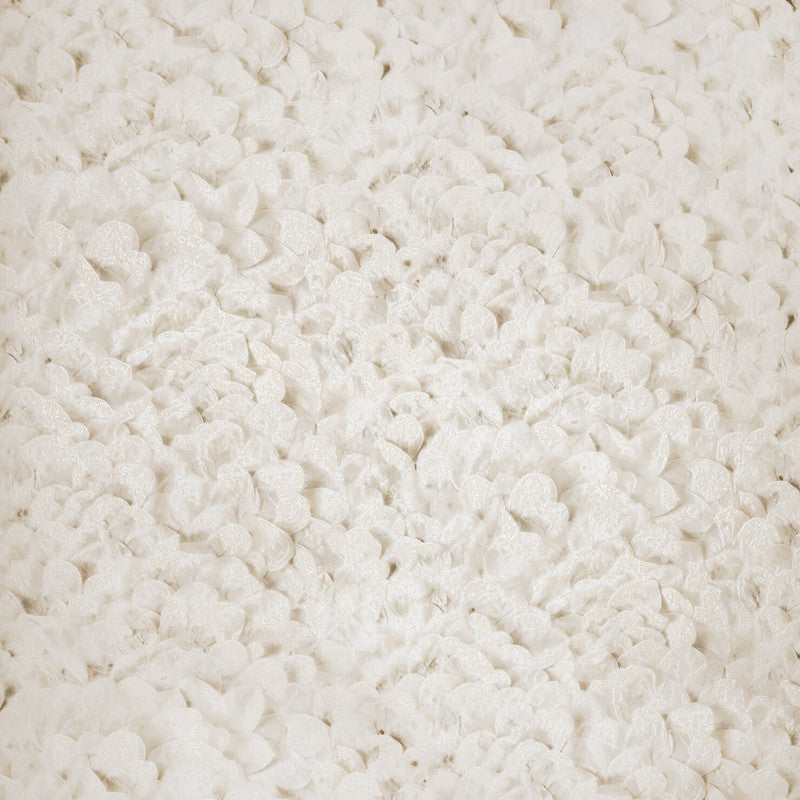 Sample Arco Wildflower Wallpaper in Himalayan Salt