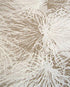 sample anemone wallpaper in goldspun design by jill malek 1