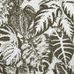 Elephant Leaf Wallpaper in Beige