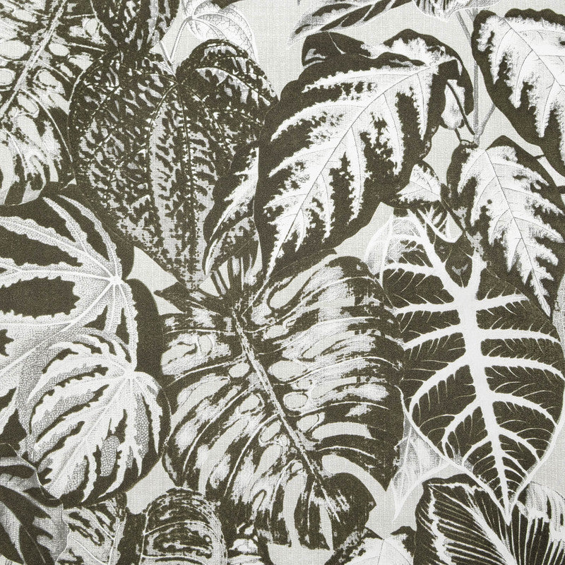 Elephant Leaf Wallpaper in Beige