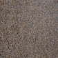 Alpine Reptile Wallpaper in Brown