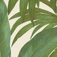 Jungle Palm Leaves Textured Wallpaper in Cream/Green from the Versace V Collection