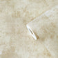 Metallic Plaster Wallpaper in Beige