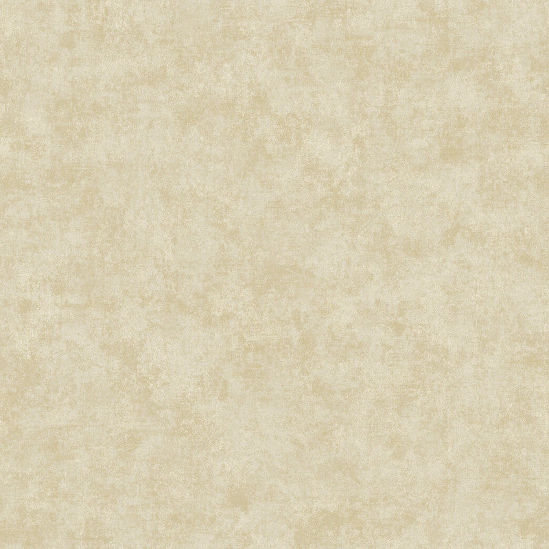 Metallic Plaster Wallpaper in Beige