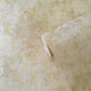 Metallic Plaster Wallpaper in Gold/Beige