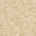 Metallic Plaster Wallpaper in Gold/Beige