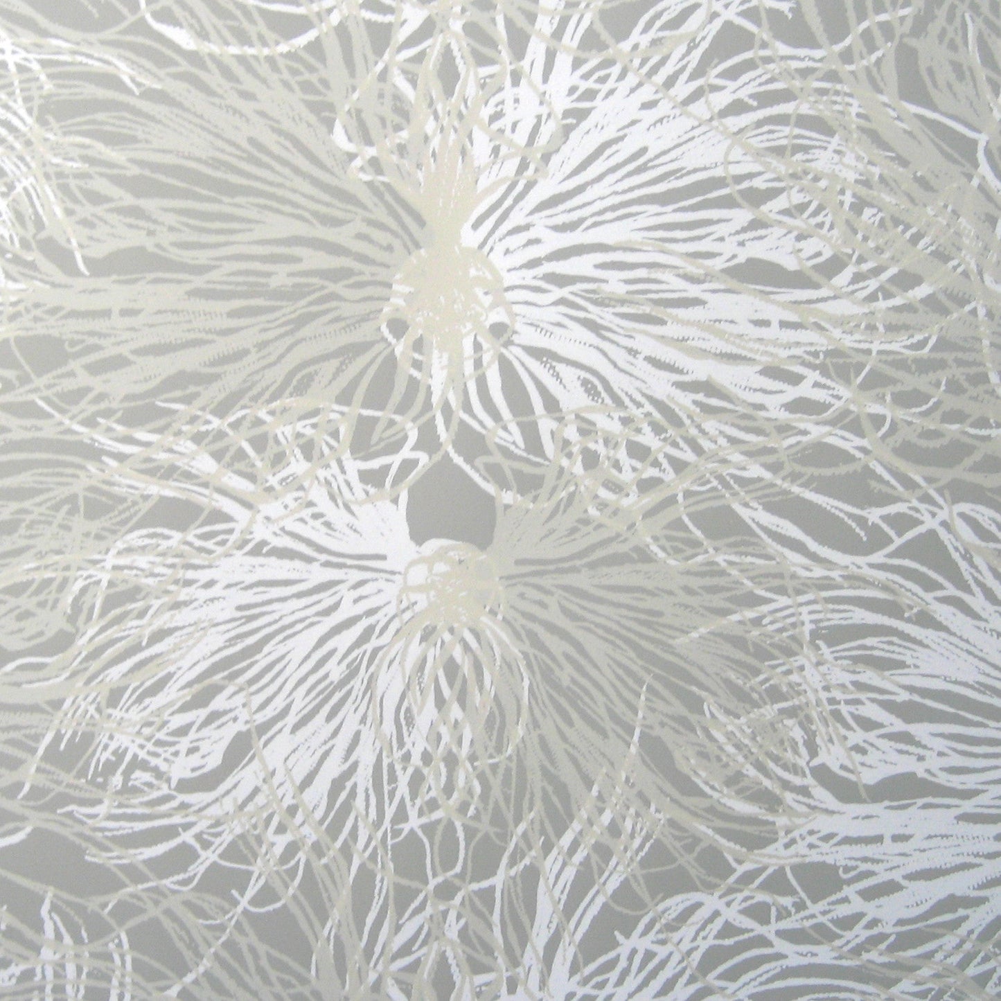anemone wallpaper in wet stone design by jill malek 1