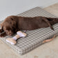 ashi dog toy lavender amber 7