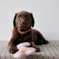 ashi dog toy lavender amber 5