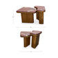 Abi Nesting Coffee Table Moes Home Collection Mhc Bz 1169 34 0 4