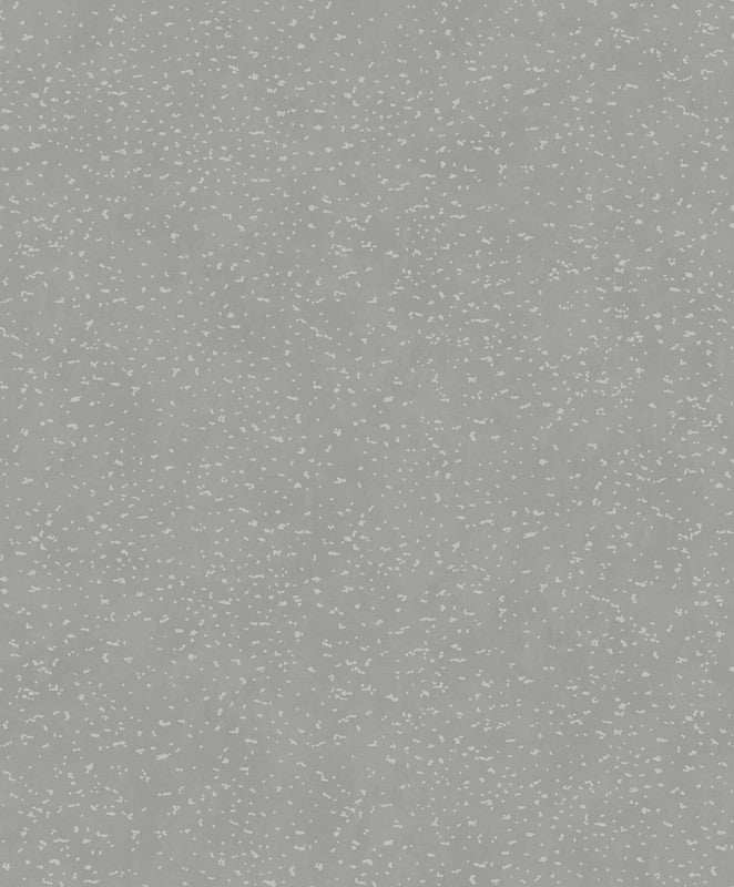 Sample Spot Abstract Wallpaper in Grey Silver