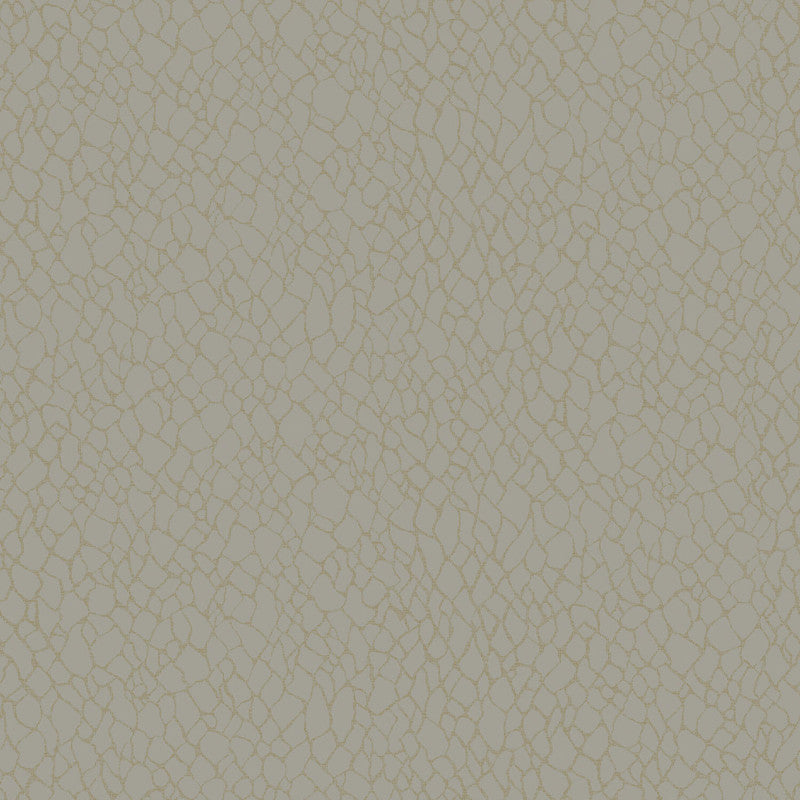 Sample Webbing Geometric Wallpaper in Beige