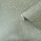Fan Fleck Wallpaper in Green