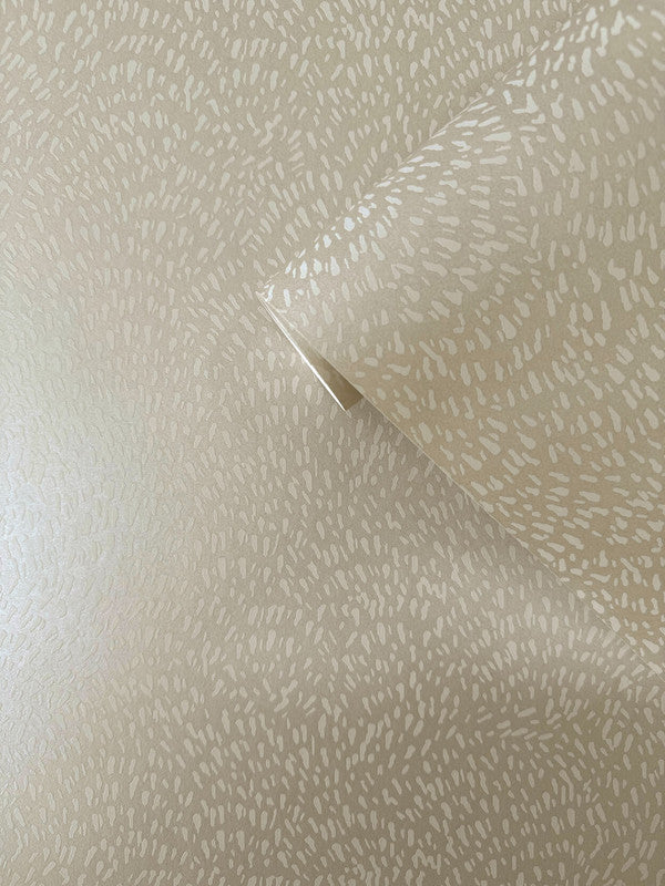 Fan Fleck Wallpaper in Cream